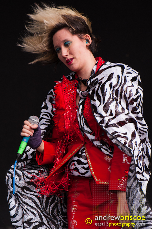Karen O of the Yeah Yeah Yeahs (Big Day Out, Melbourne 2013)