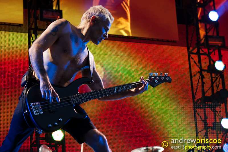 Flea of the Red Hot Chili Peppers (Big Day Out, Melbourne 2013)