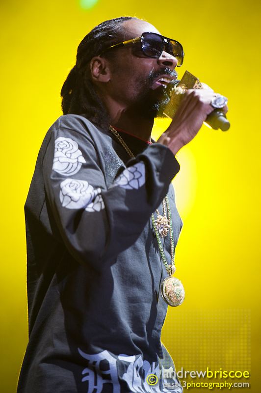 Snoop Dogg (Big Day Out, Melbourne 2014)