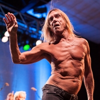 Iggy & The Stooges @ Festival Hall (Melbourne, 27th March 2013)